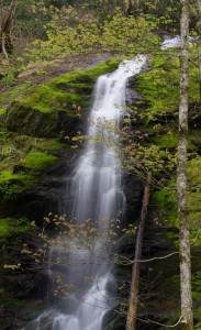 coldcreekfalls11x18_edited-2