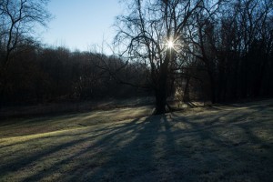 frosty sunrise