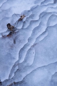 ice patterns